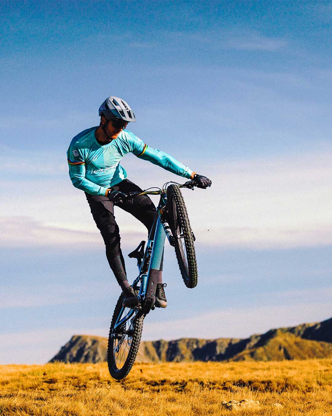 VAE-REASON-CBR-2026-11